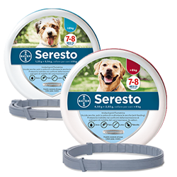 Seresto Collare Cani Fino A 8 Kg - Bayer Seresto Collare Cani Fino A 8 Kg - Bayer
