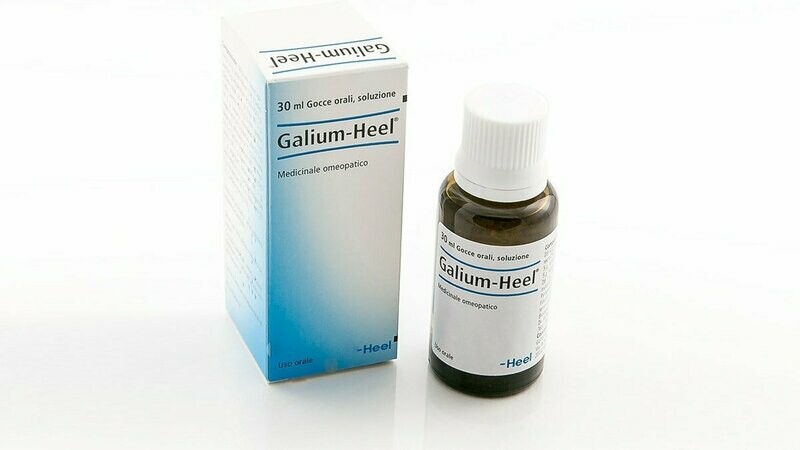 Galium Heel Gocce 30 ml Galium Heel Gocce 30 ml