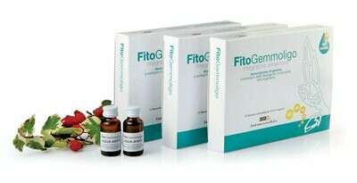 FitoGemmoligo Aqua-Drena 12 Flaconcini Da 12,5 ml