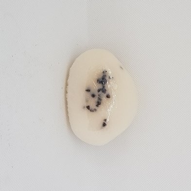 Lait Ribot et Blé Noir