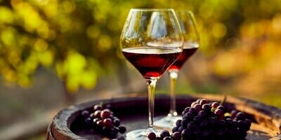La cave à vins