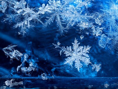 WINTER 2020