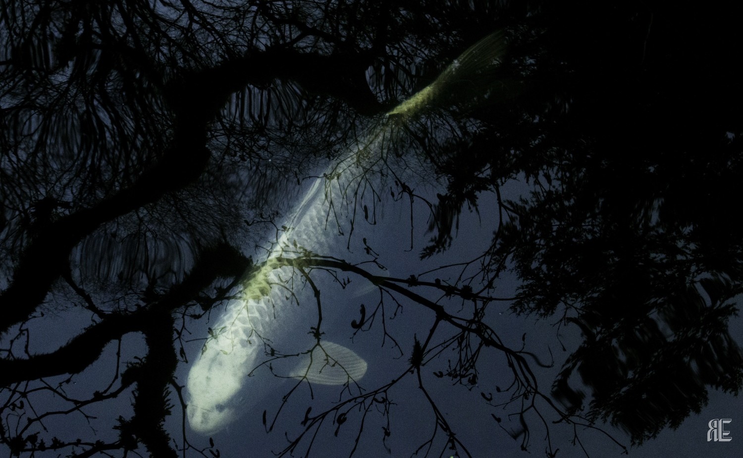 DARK WATER PHOTO PRINT (PORTLAND,OREGON)