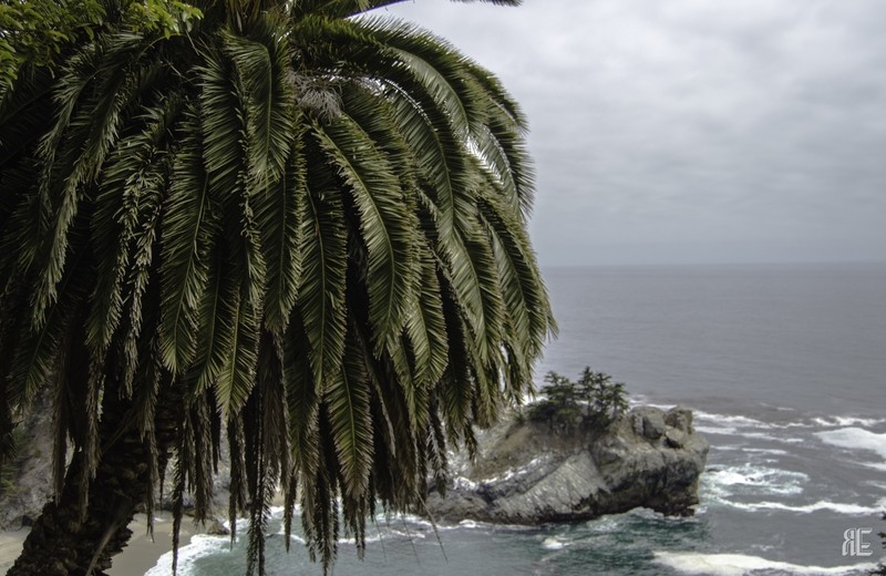 BIG SUR