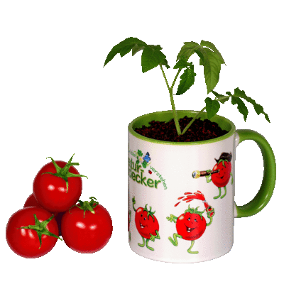 Naturentdecker-Tasse "Tomatl"