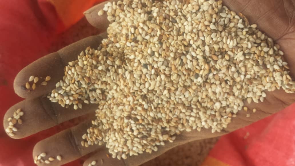 Sesmae Grains