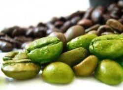 Coffee Green Beans (Fairtrade)
