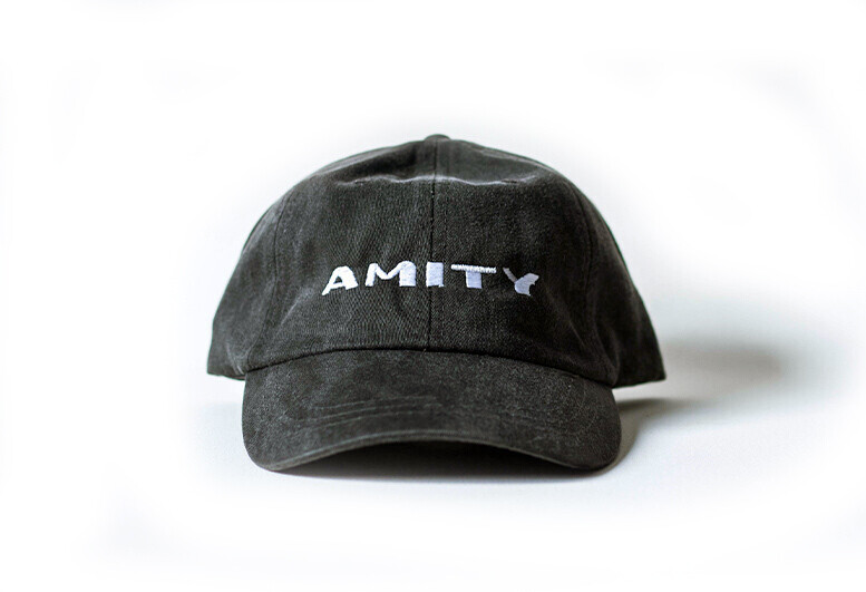 AMITY Dad Hat