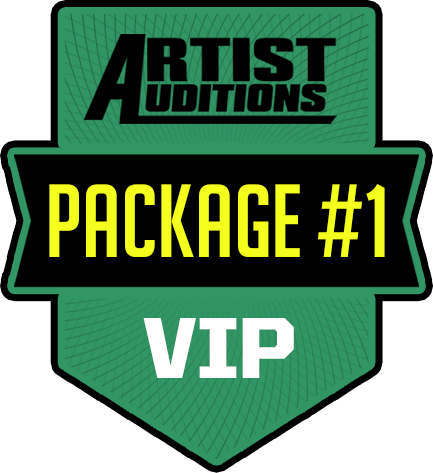 Artist VIP Package #1