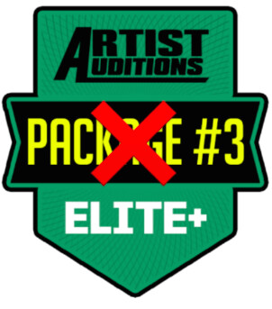 Artist Package #3 (SOLD OUT)