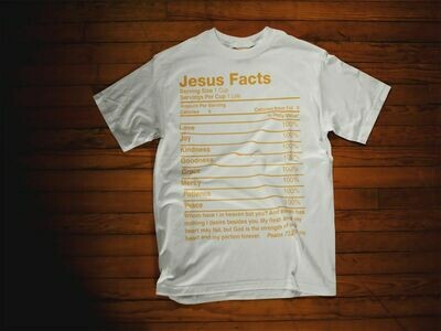 Jesus Facts
