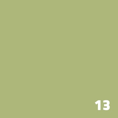 13 SUPERIOR Seamless Paper 2.7m - Tropical Green