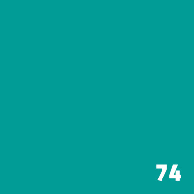 74 SUPERIOR Seamless Paper 2.7m - Spruce
