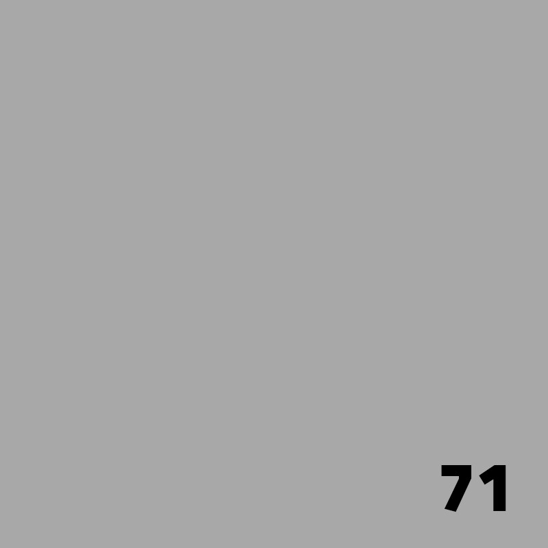 71 SUPERIOR Seamless Paper 2.7m - Lunar Gray