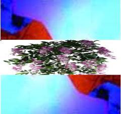 Epson Invisible Infra Red (NIR)Fluorescent Ink