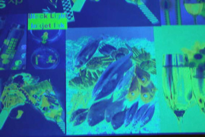 Epson Invisible UV Fluorescent Ink