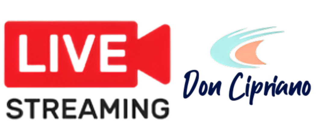 SERVICIO DE STREAMING