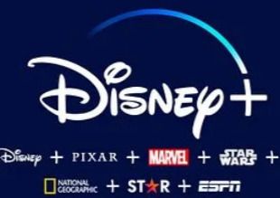 DISNEY PLUS PREMIUN   (Disney – Pixar – Marvel – Espn – National Geographic – Star Wars – Star)