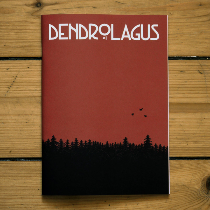 Dendrolagus #1