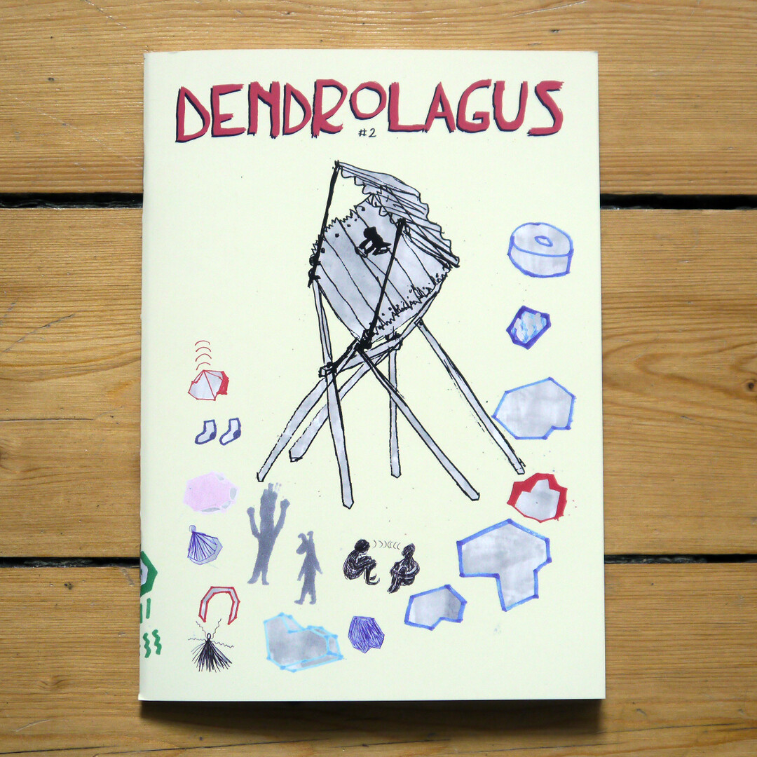 Dendrolagus #2