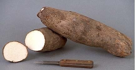 AFRICAN YAMS FOR SALE