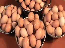Eggs