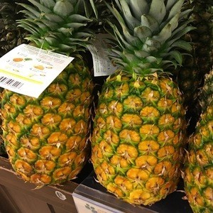 High-Quality-Fresh-Pineapples