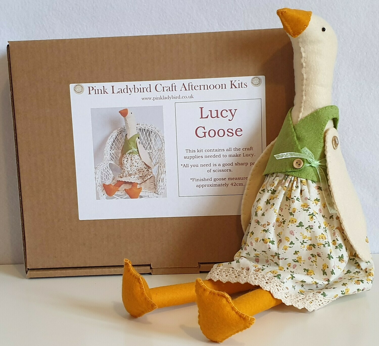 Craft Afternoon Kit - Lucy Goose