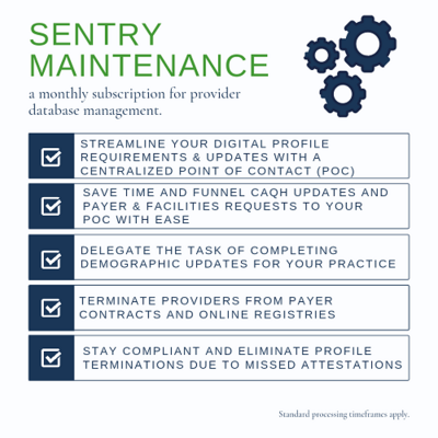 Sentry Maintenance Subscription