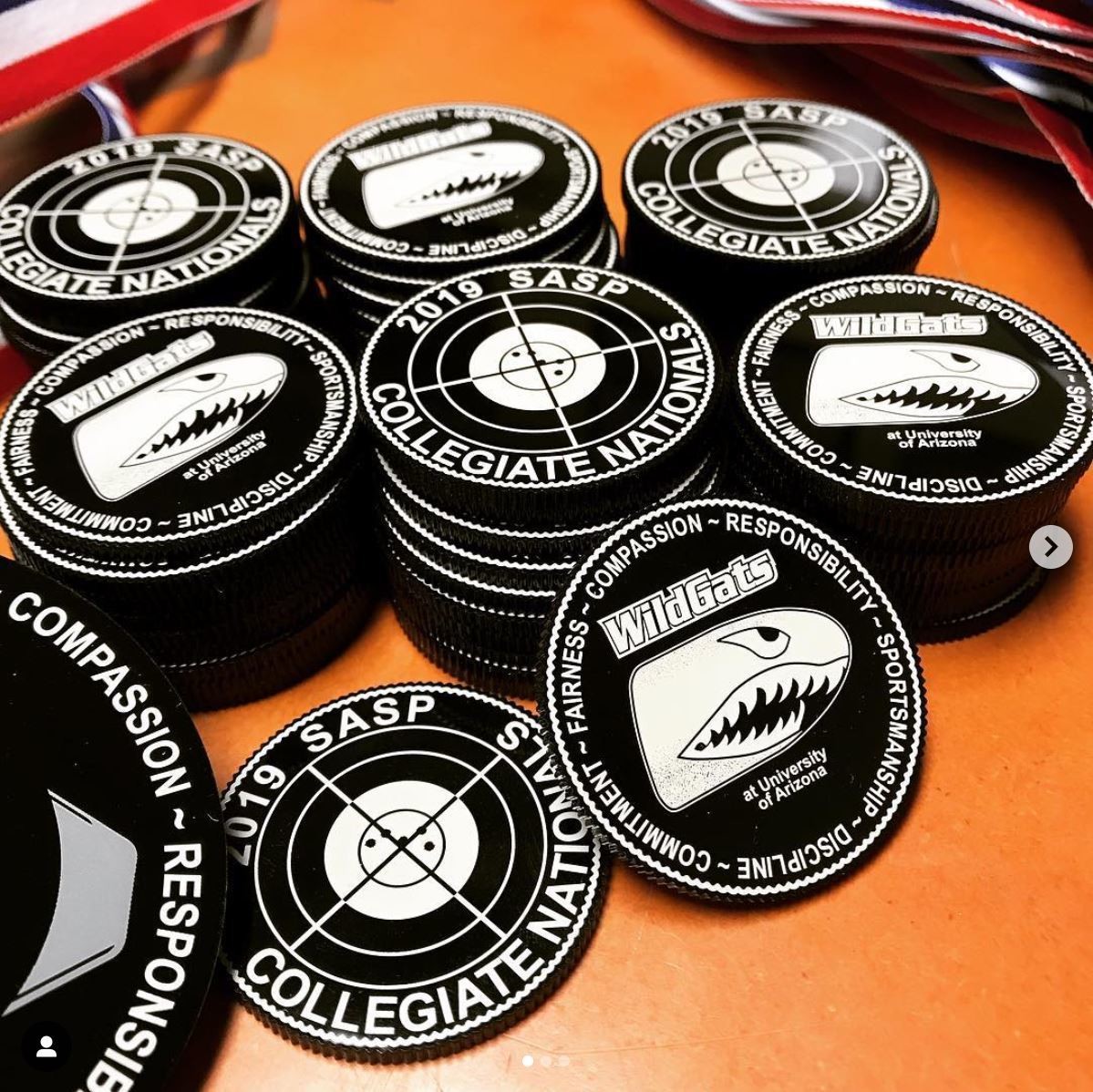 WildGats &#39;challenge chips&#39;