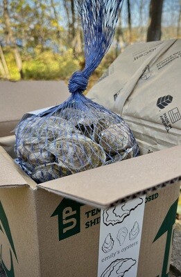 Oysters (shipped, nationwide!)