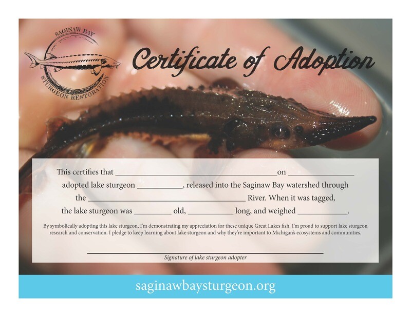 Adopt-A-Sturgeon