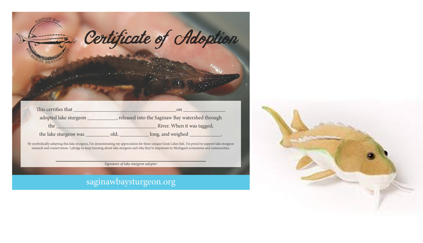 Adopt-A-Sturgeon