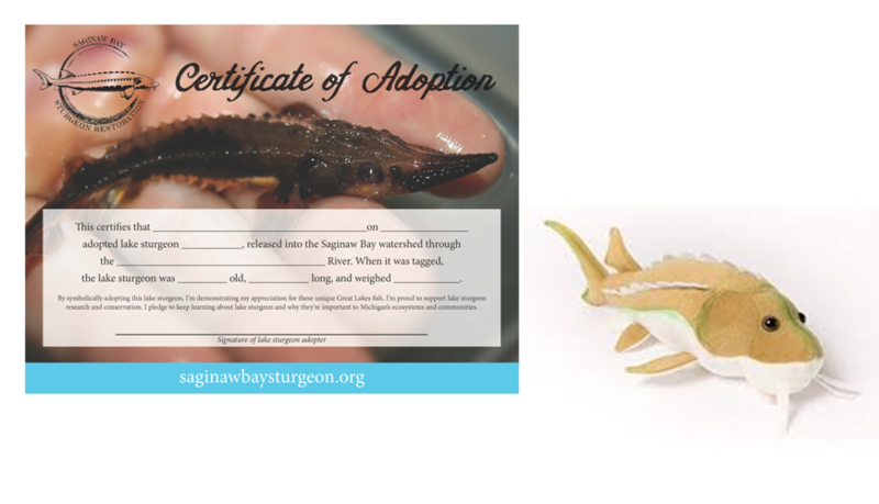 Adopt-A-Sturgeon