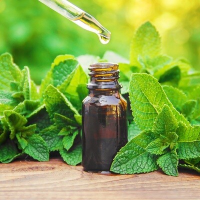 Peppermint Essential Oil*