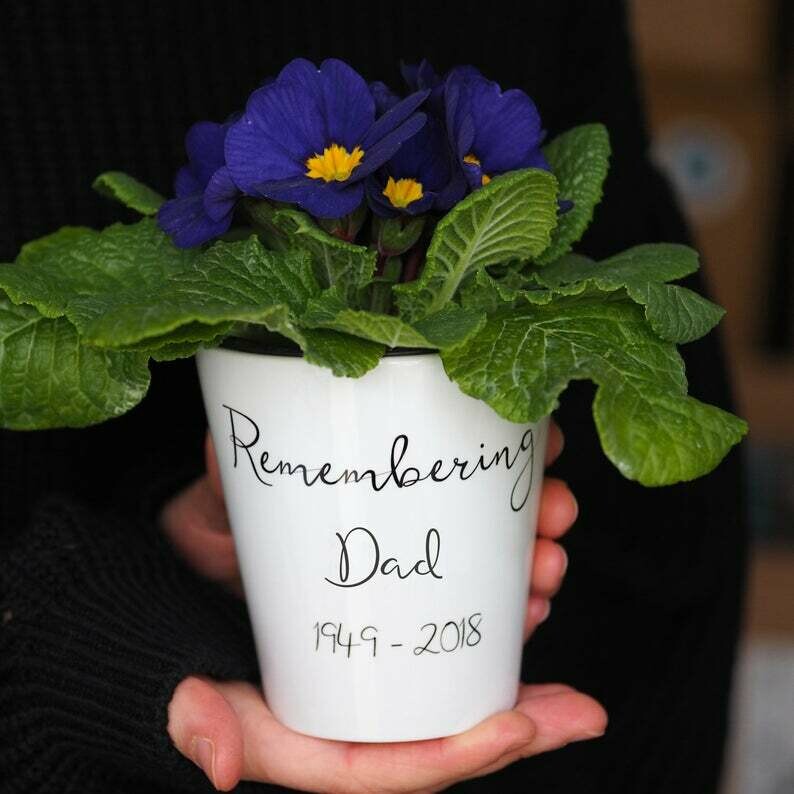 Remembering Pot Plant