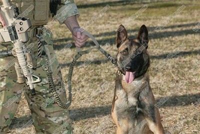 Tactical Police Dog K9 Training Bungee Leash / Lead Mil Spec - SWAT Black