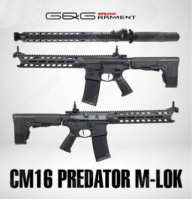 G&G Cm16 Predator MLOK Airsoft Electric Rifle AEG