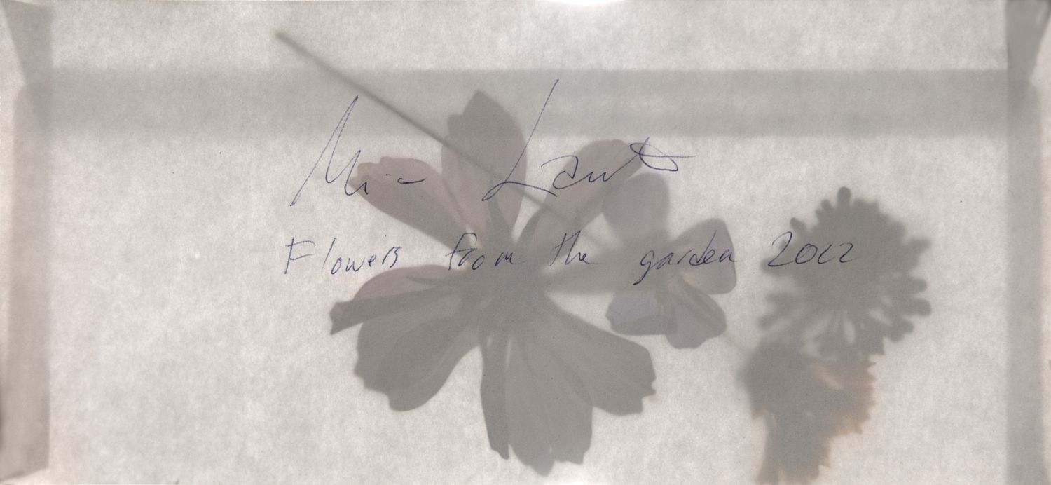 Mimi Lauter - Flowers from my garden