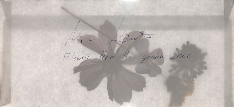 Mimi Lauter - Flowers from my garden