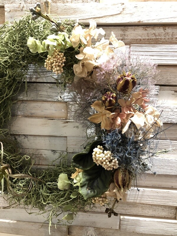 エアープランツのリース