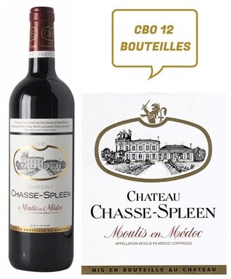 Château Chasse-Spleen 1981 Moulis-en-Médoc