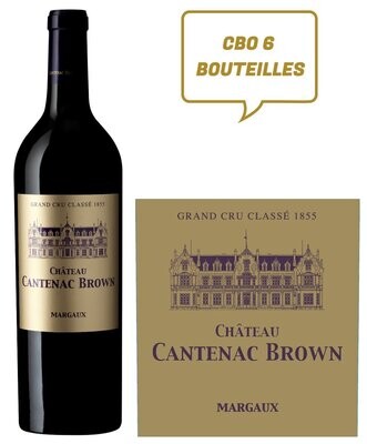 Château Cantenac Brown 2019 Margaux