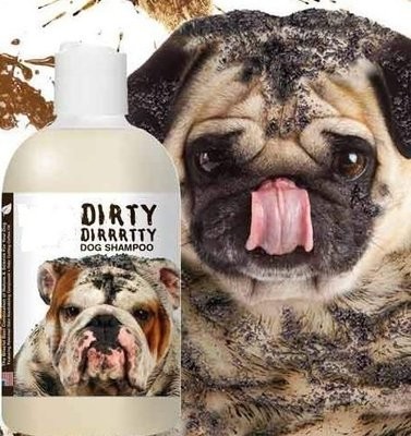 Shampoing pour chiens très sales