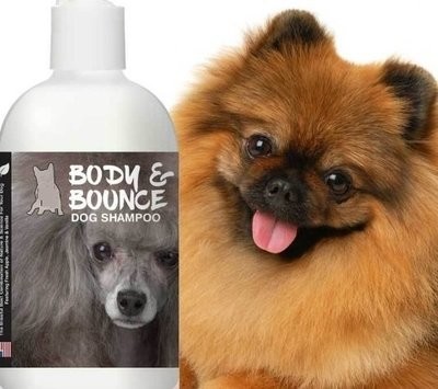 shampoing pour chiens poils frisés ou longs