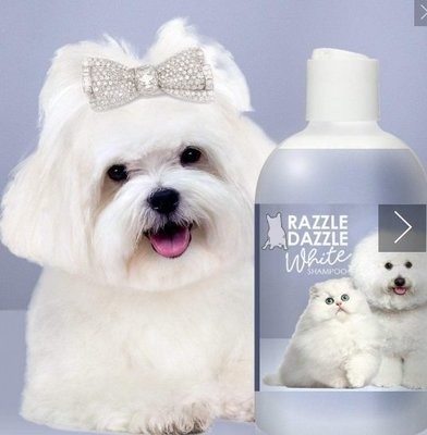 shampoing pour chiens à poils blancs