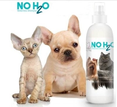 Shampoing sans eau pour chiens et chats