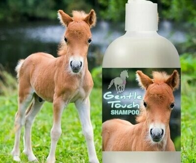 shampoing pour cheval