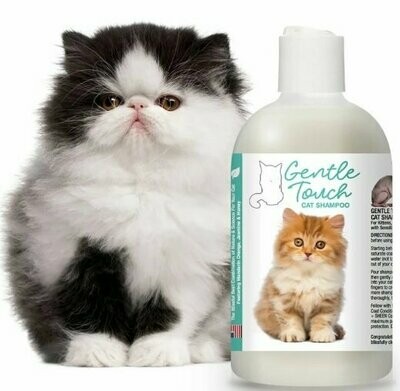 Shampoing pour chatons