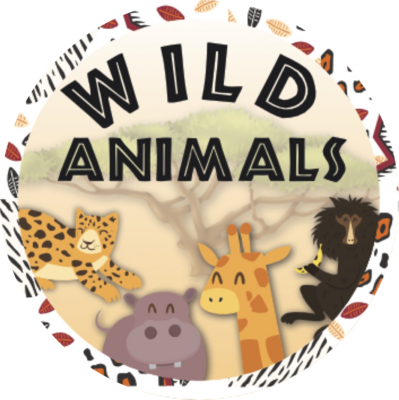 Once Off Box Theme: Wild Animals M18